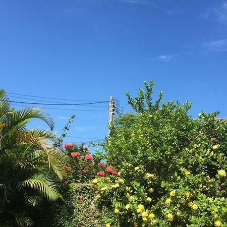 Ampla Casa De Praia Арраял-ду-Кабу Екстер'єр фото
